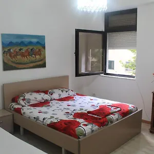  Auberge de jeunesse All Stars In Albanie